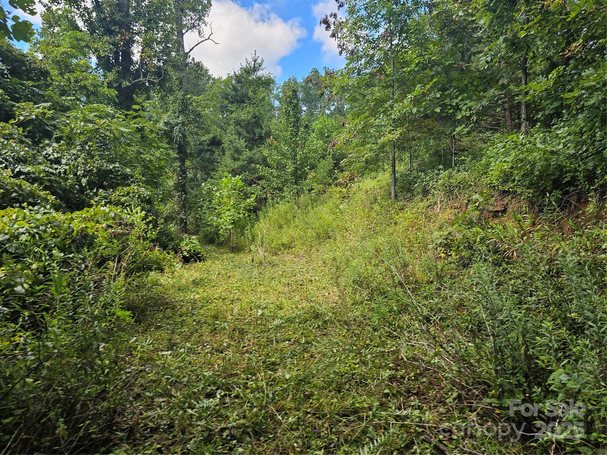 97 Destination Drive Asheville NC 28806
