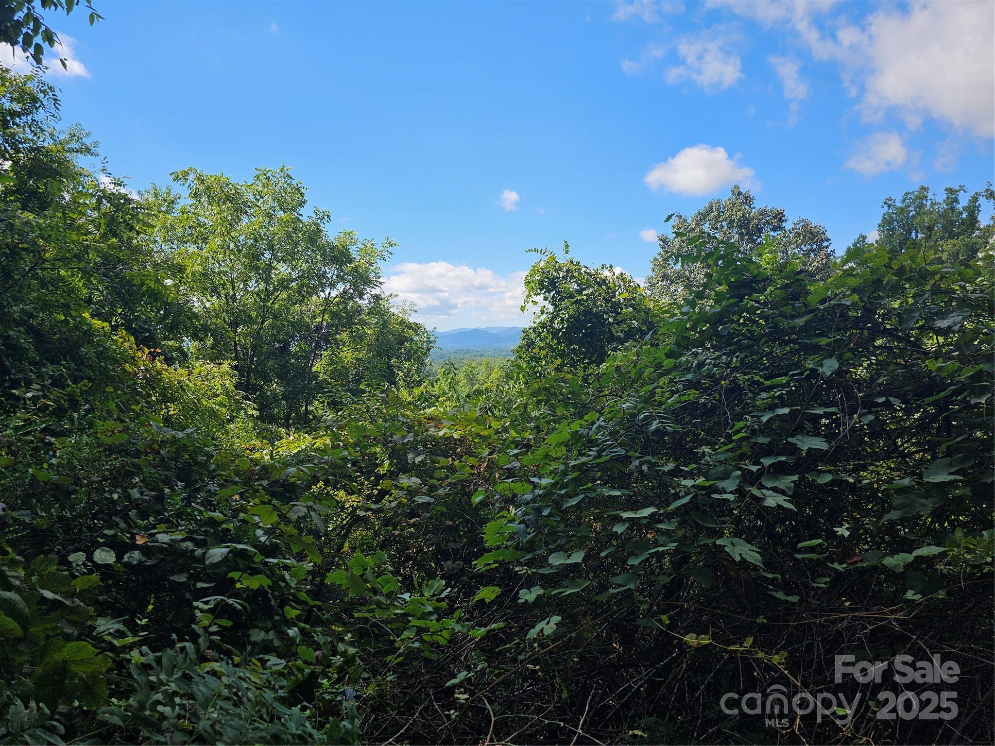 97 Destination Drive Asheville NC 28806