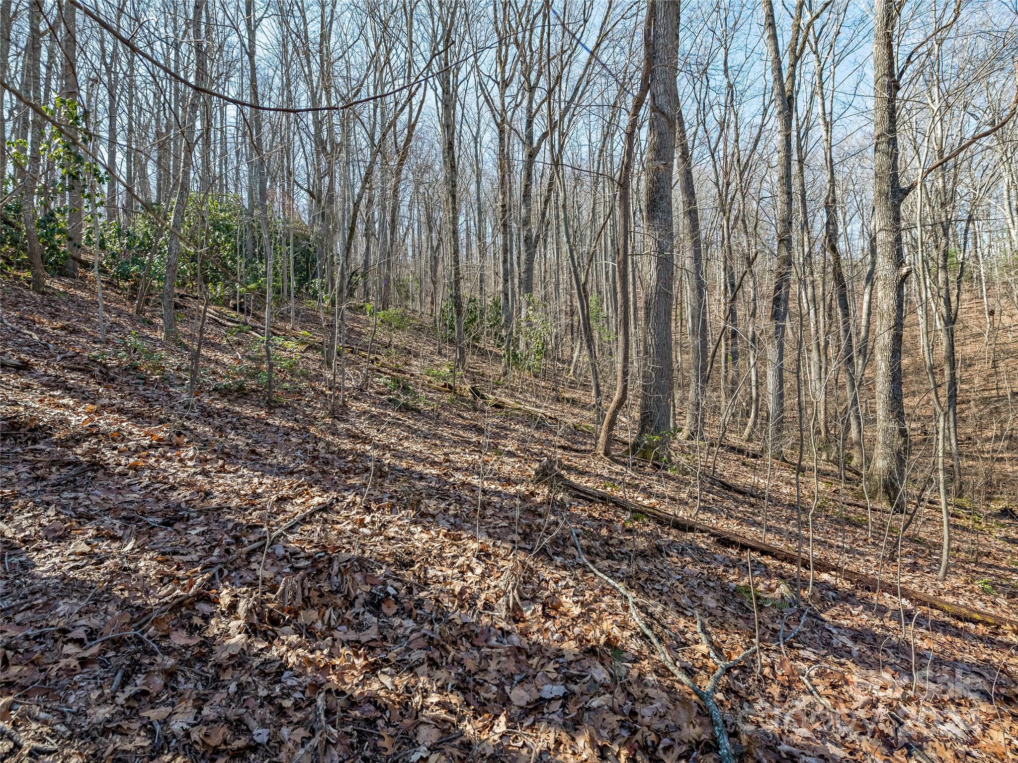 99999 Propst Road Candler NC 28715