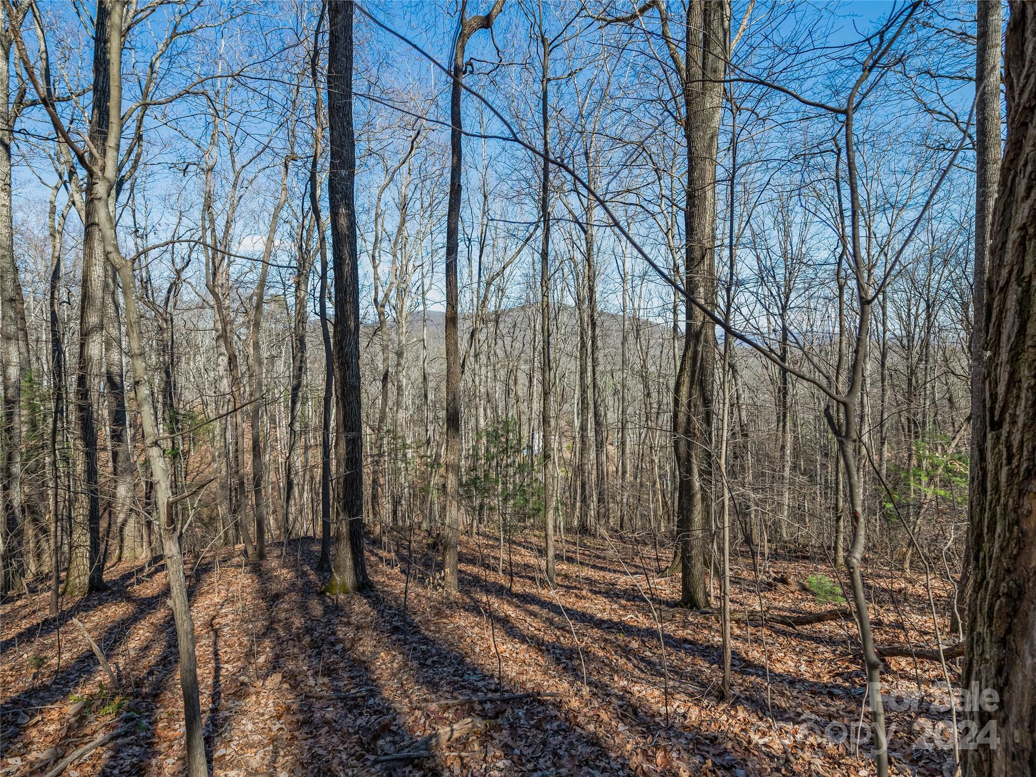 99999 Propst Road Candler NC 28715