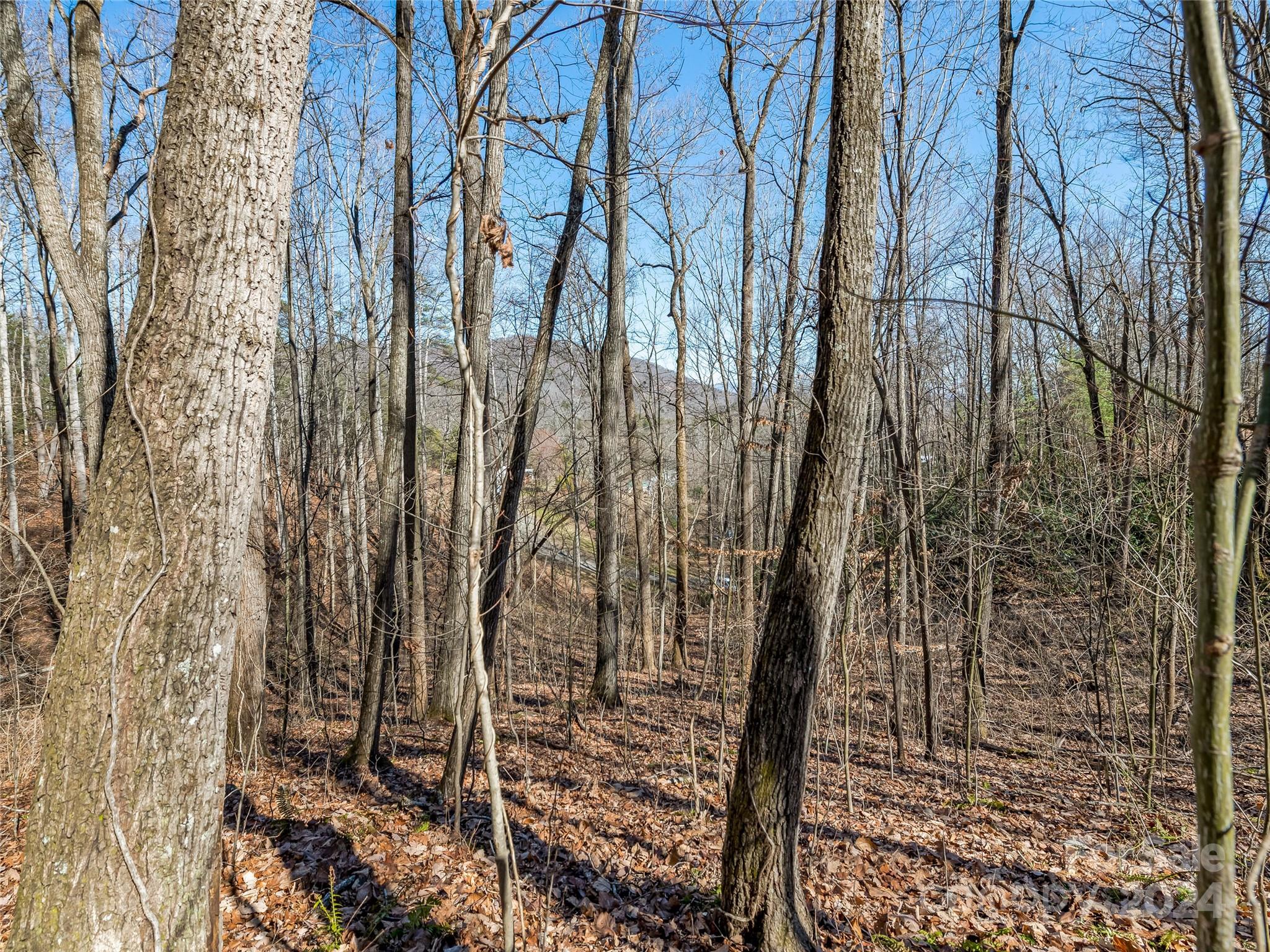 99999 Propst Road Candler NC 28715