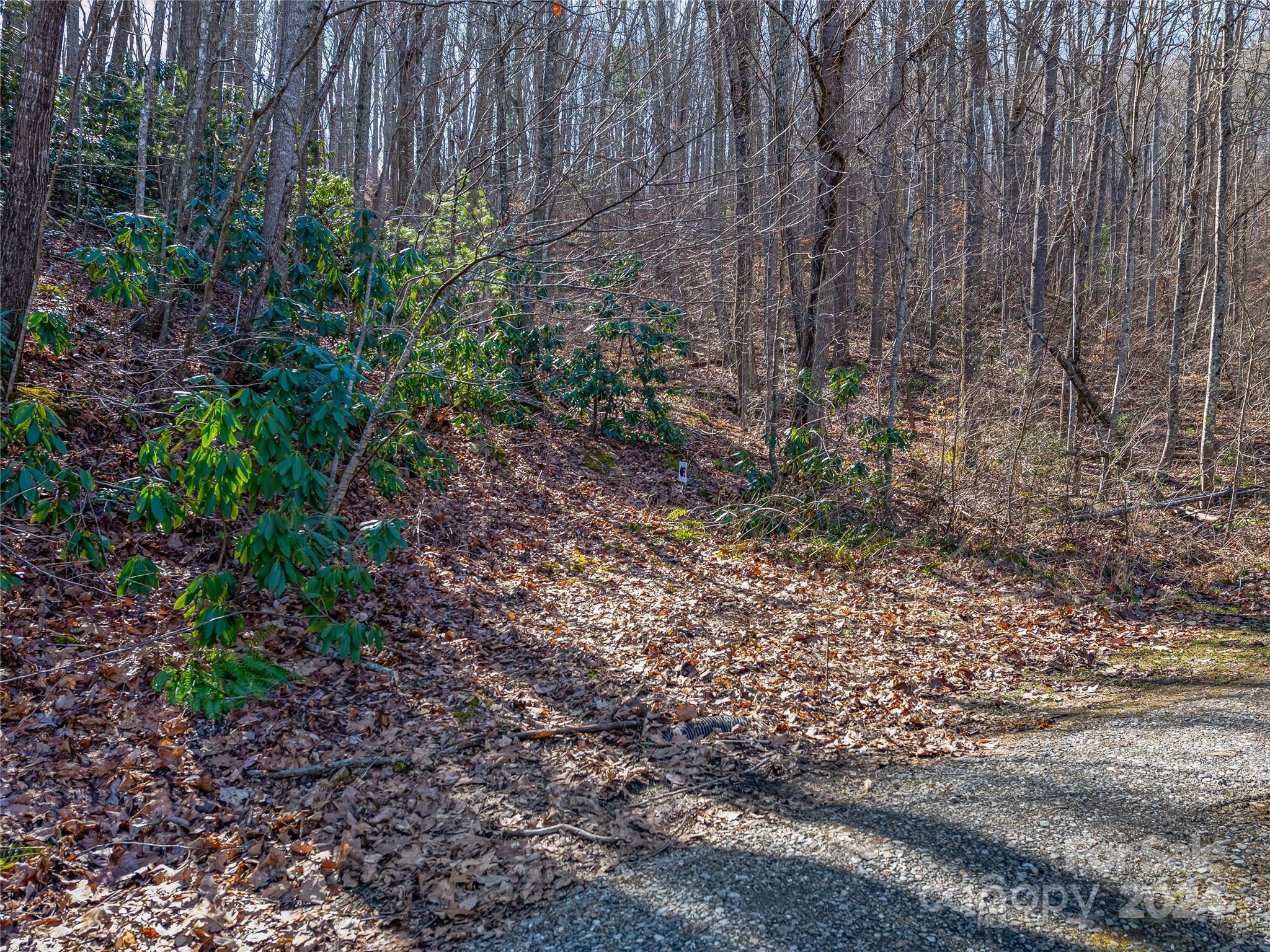 99999 Propst Road Candler NC 28715