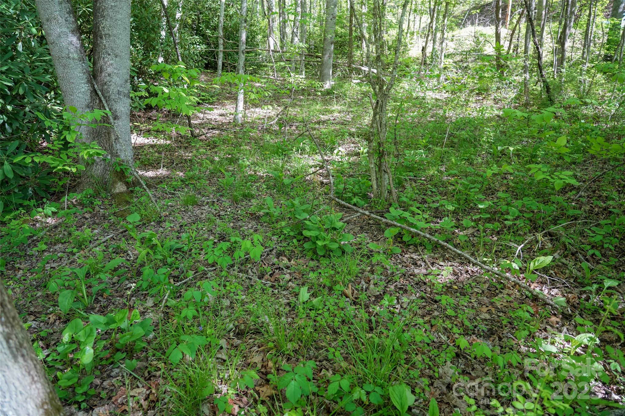 56 Hidden Valley Road Clyde NC 28721