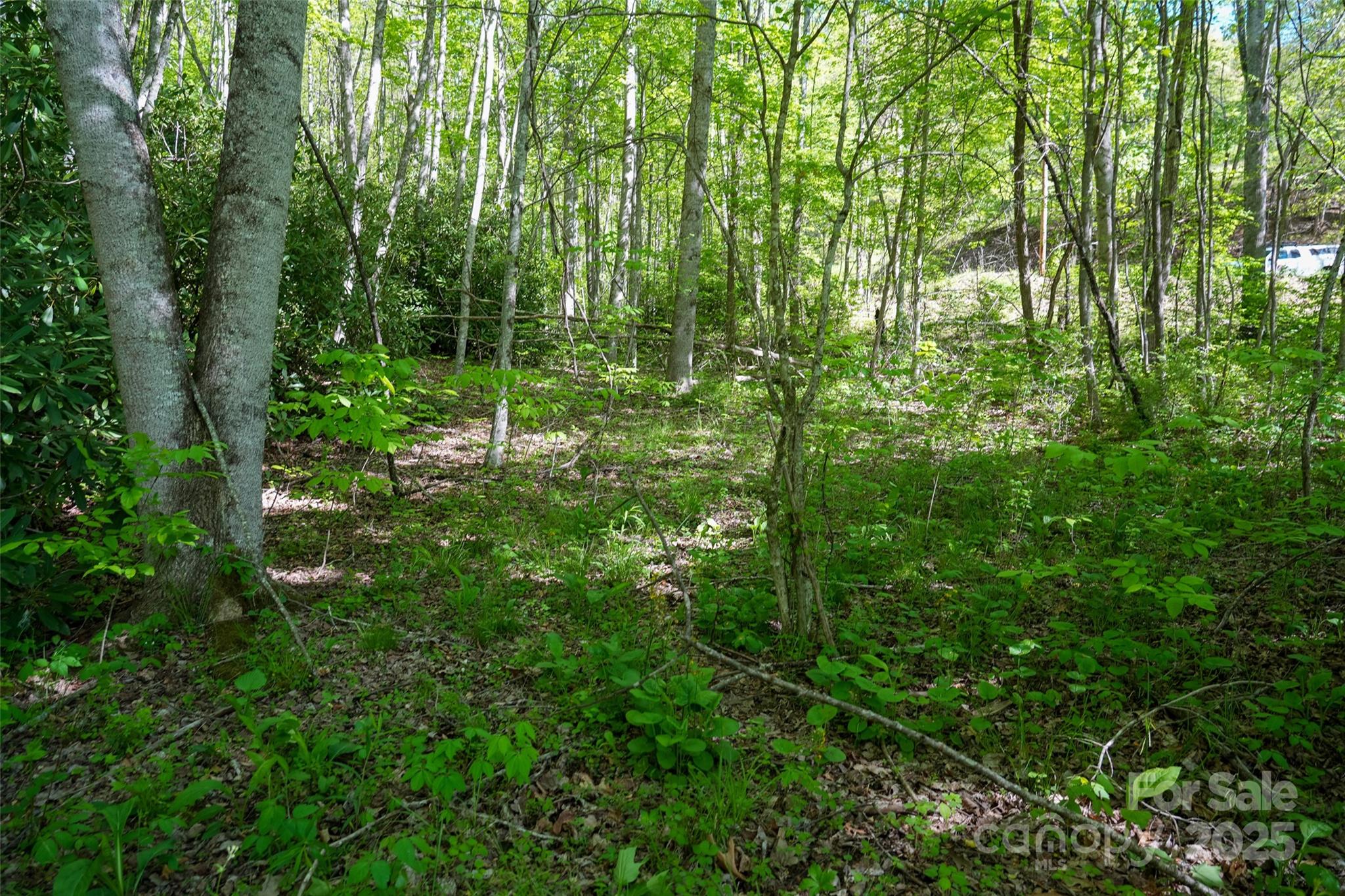 56 Hidden Valley Road Clyde NC 28721