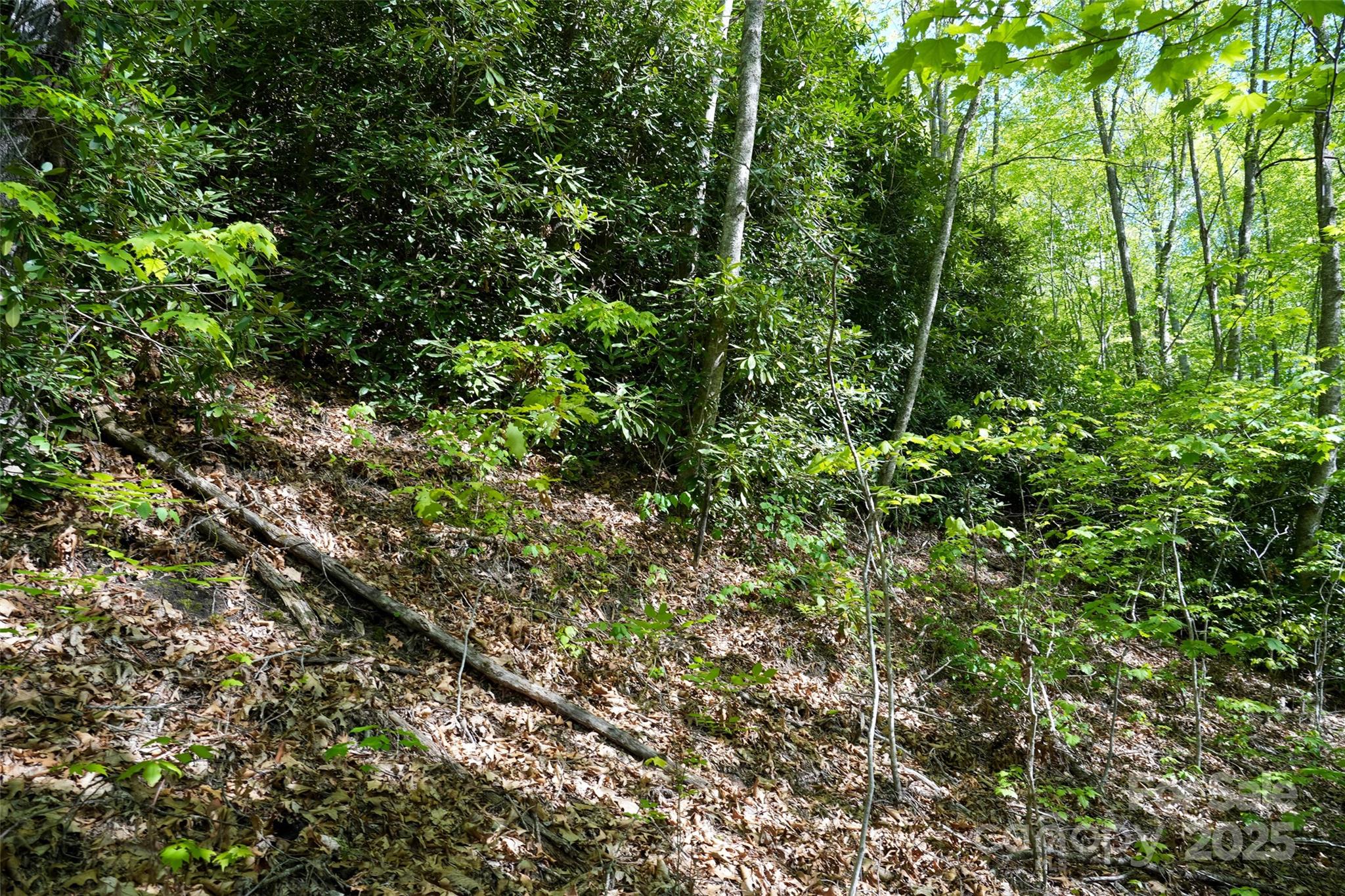56 Hidden Valley Road Clyde NC 28721