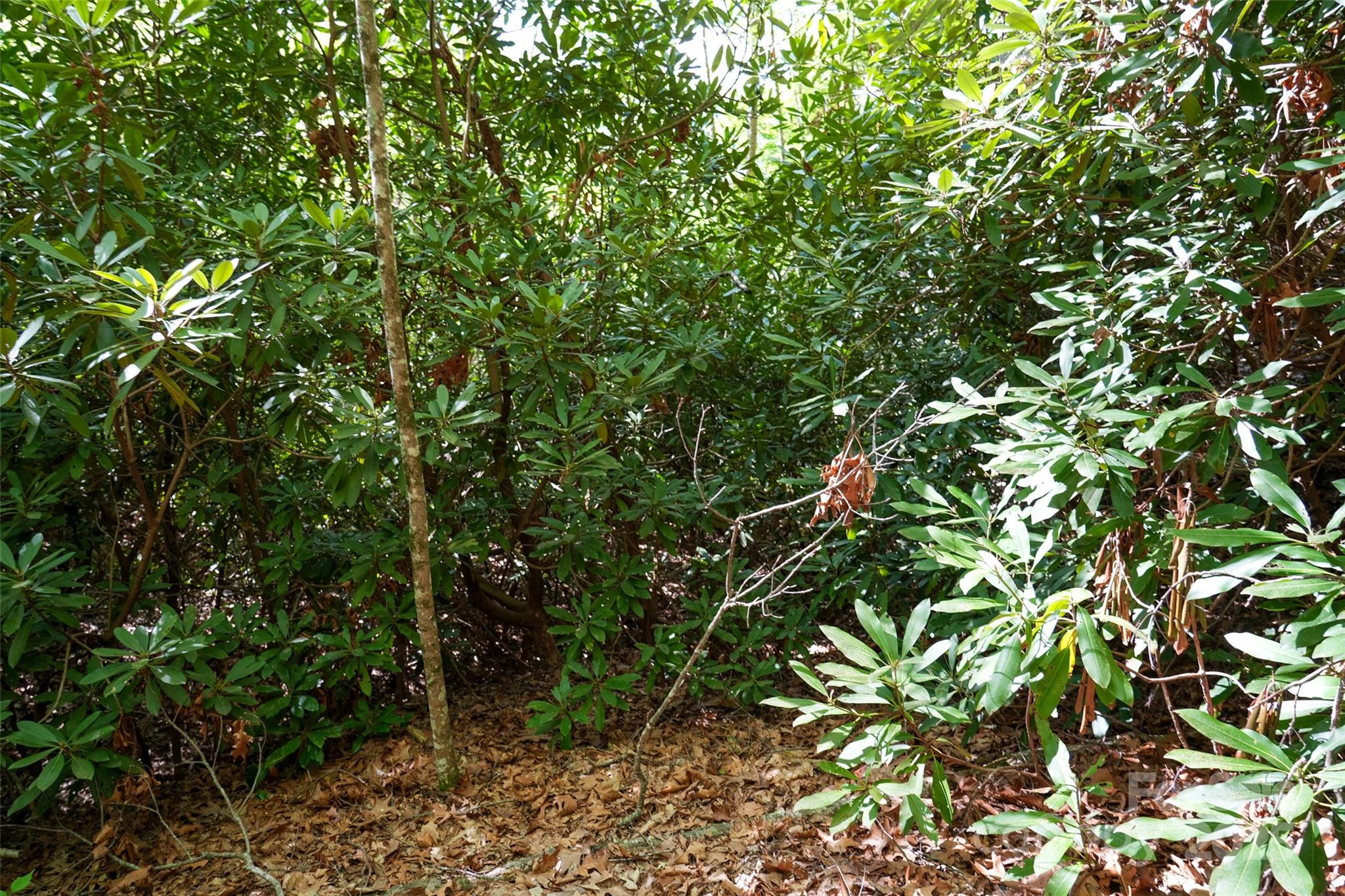 56 Hidden Valley Road Clyde NC 28721