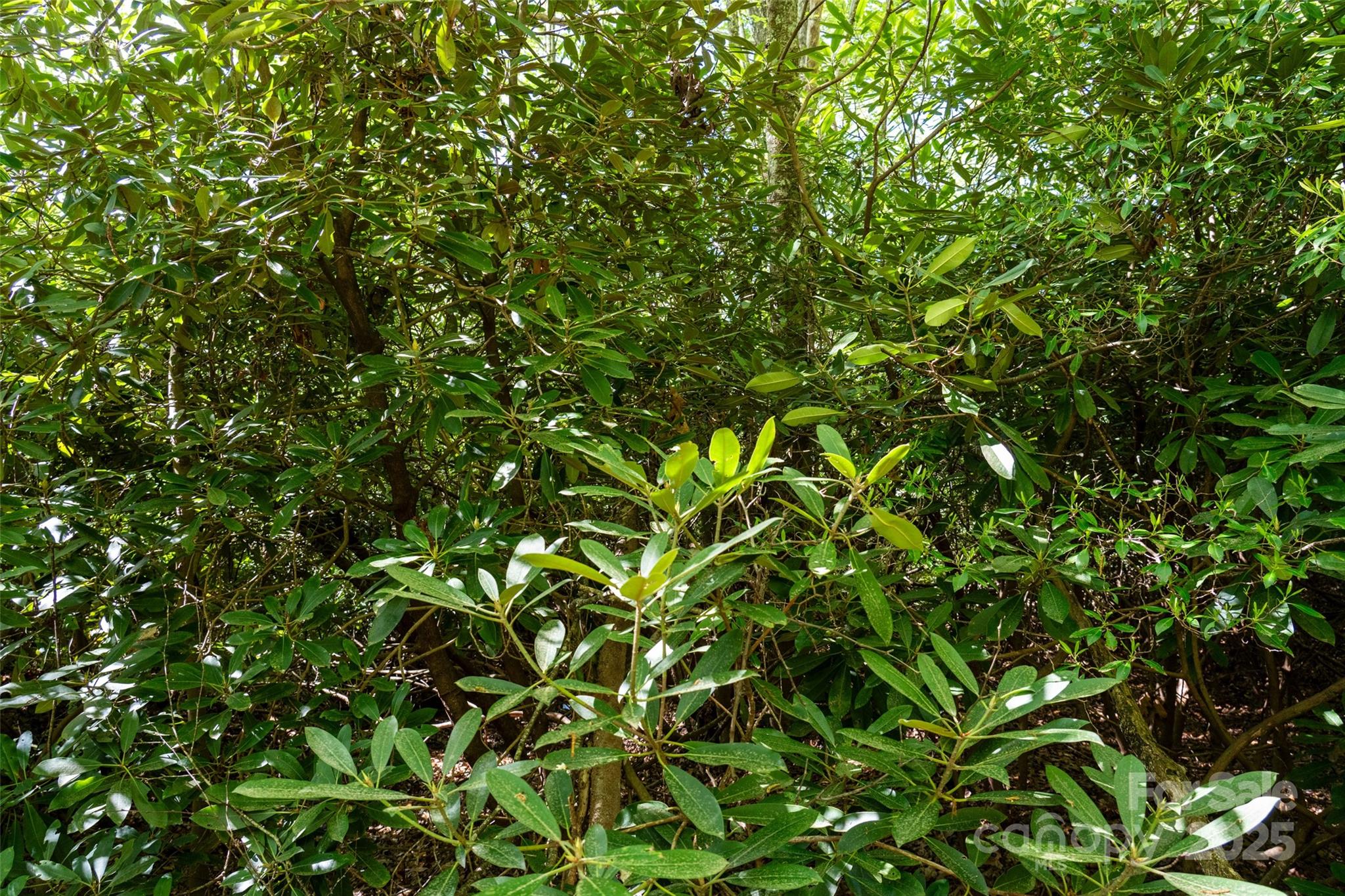 56 Hidden Valley Road Clyde NC 28721