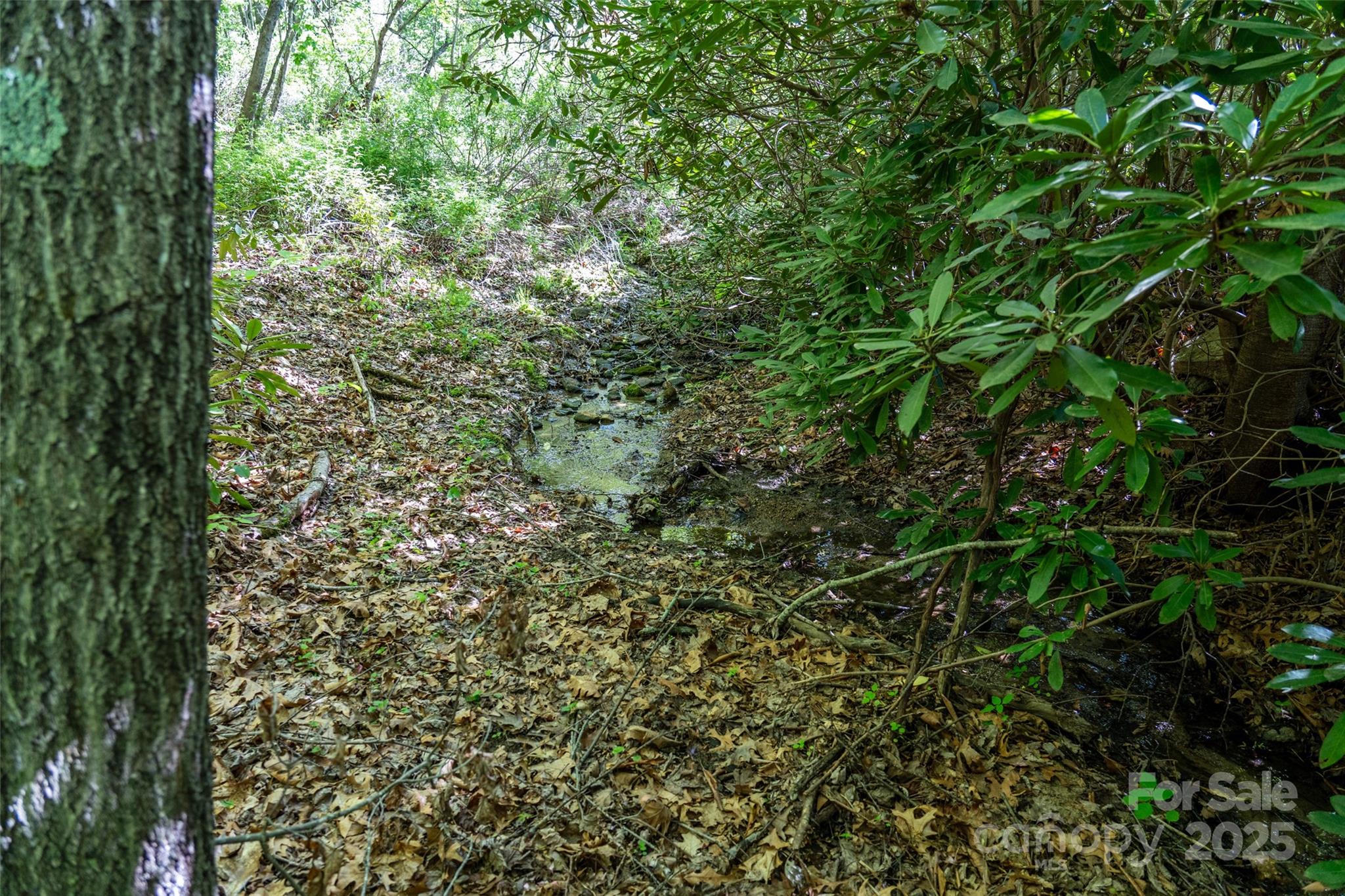 56 Hidden Valley Road Clyde NC 28721