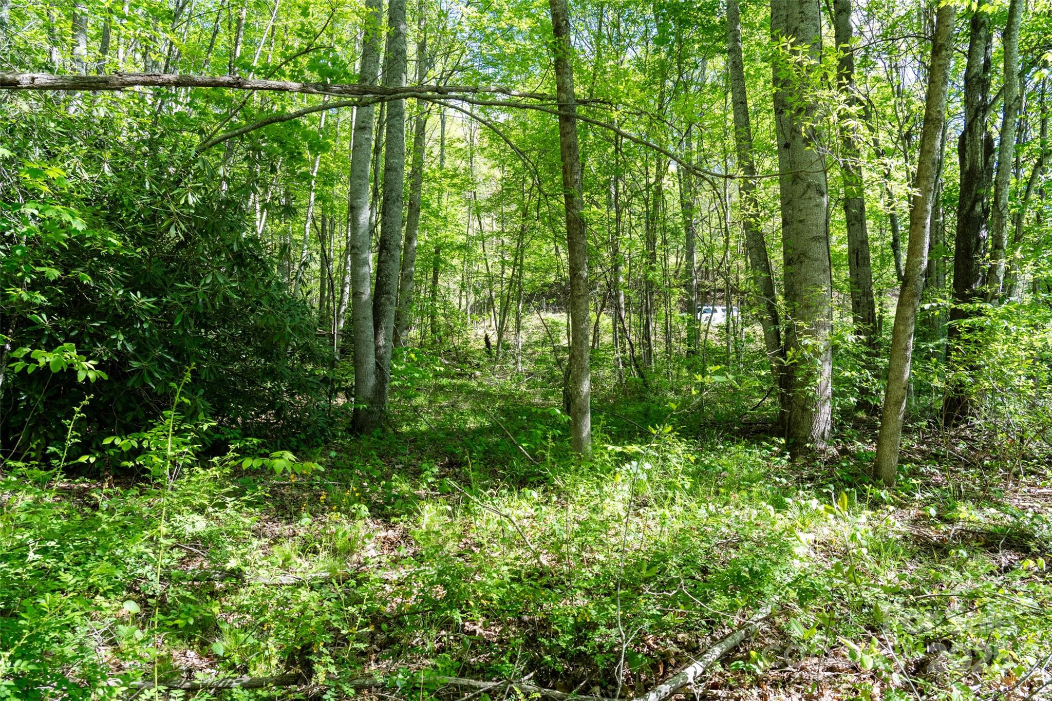 56 Hidden Valley Road Clyde NC 28721