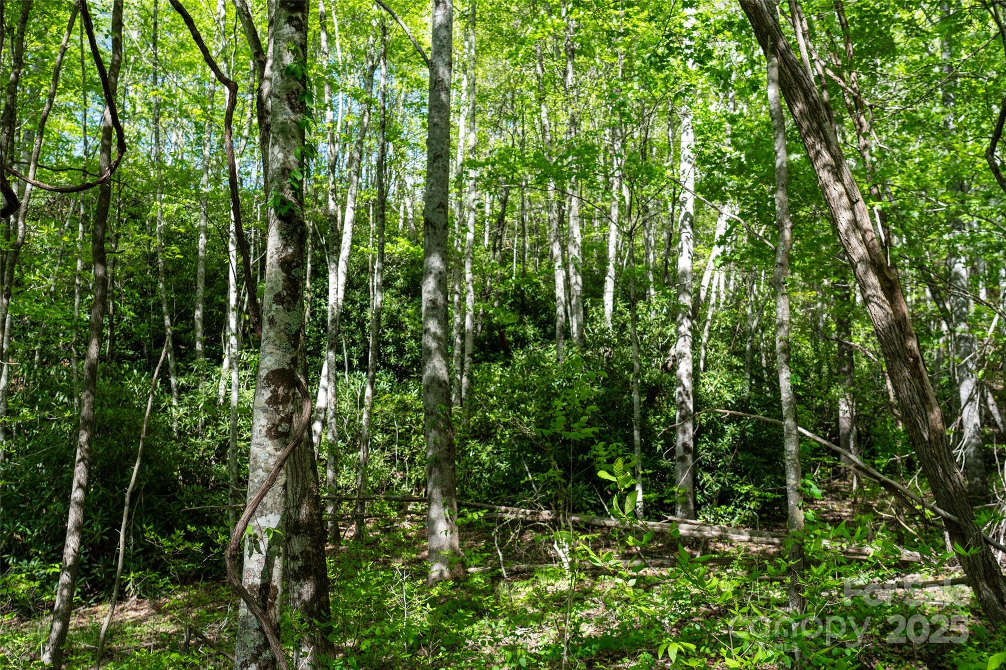 56 Hidden Valley Road Clyde NC 28721