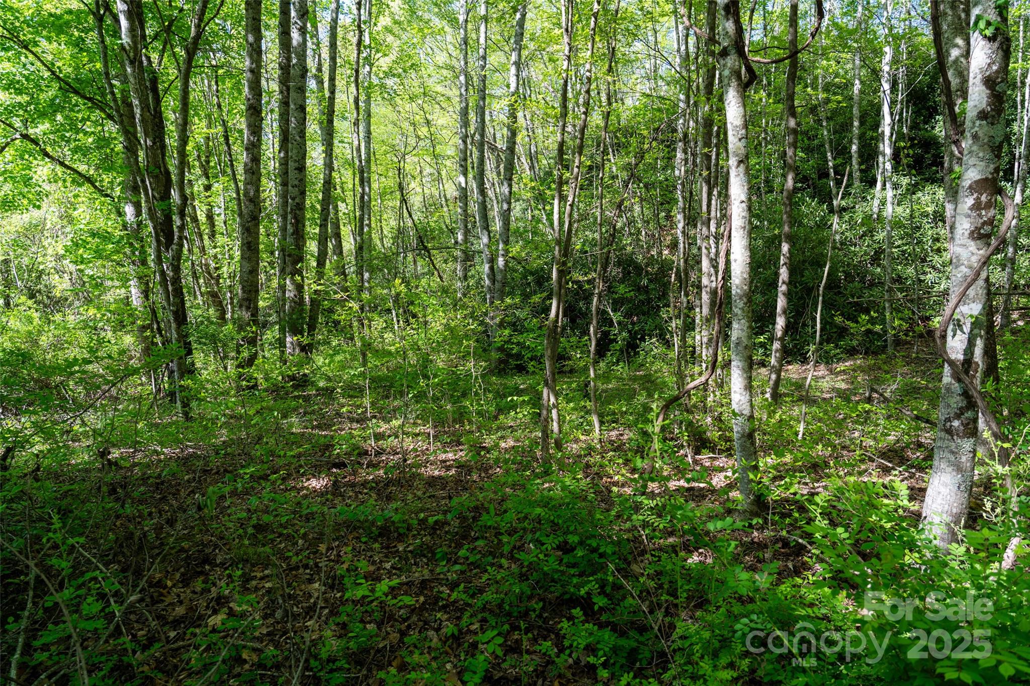 56 Hidden Valley Road Clyde NC 28721