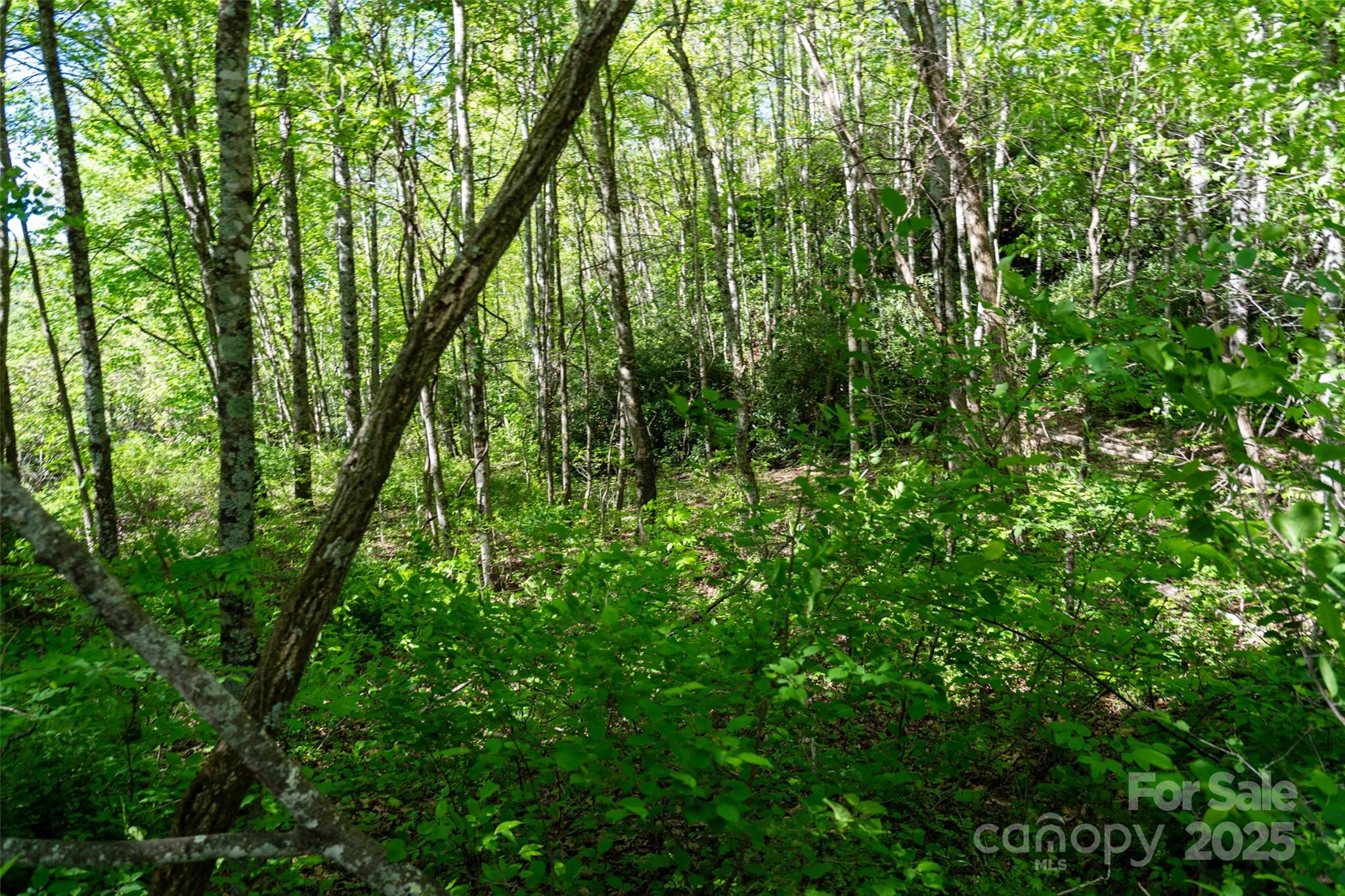 56 Hidden Valley Road Clyde NC 28721