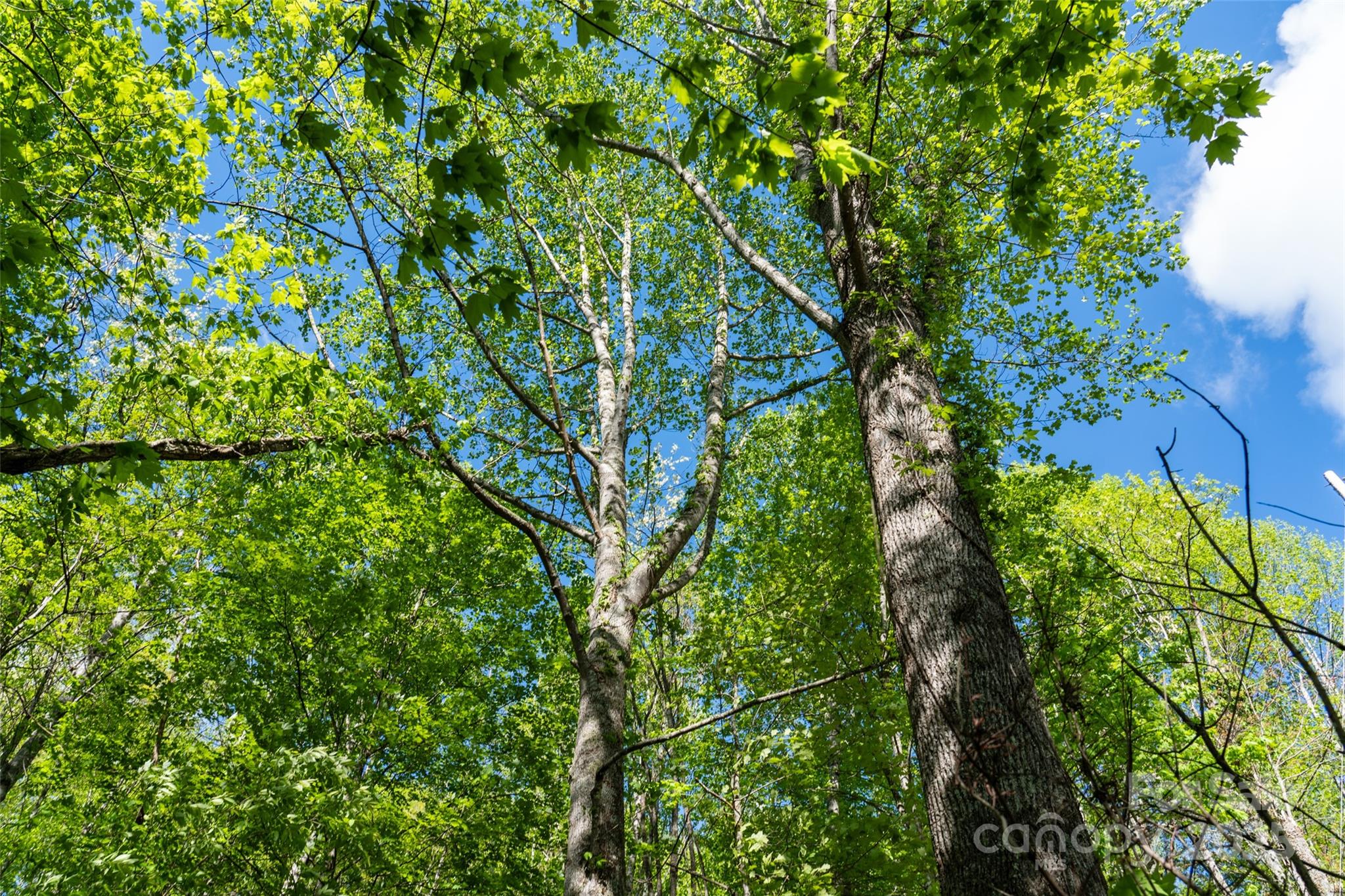 56 Hidden Valley Road Clyde NC 28721