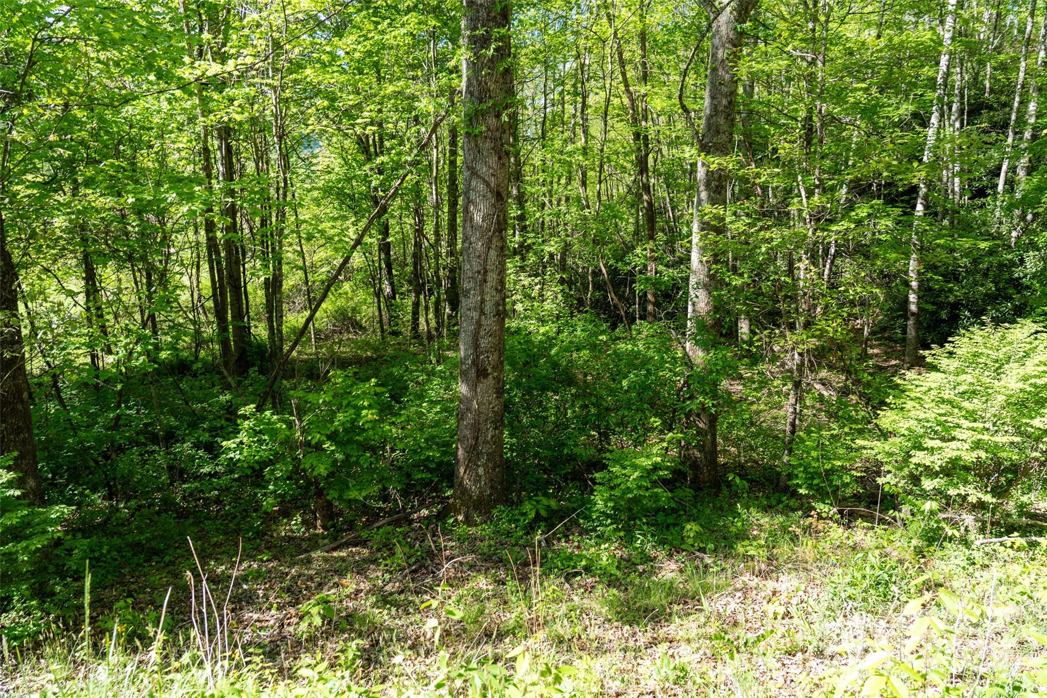 56 Hidden Valley Road Clyde NC 28721