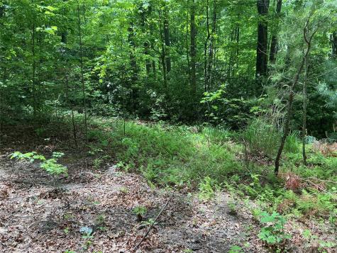 00 Green River Cove Road Saluda NC 28773
