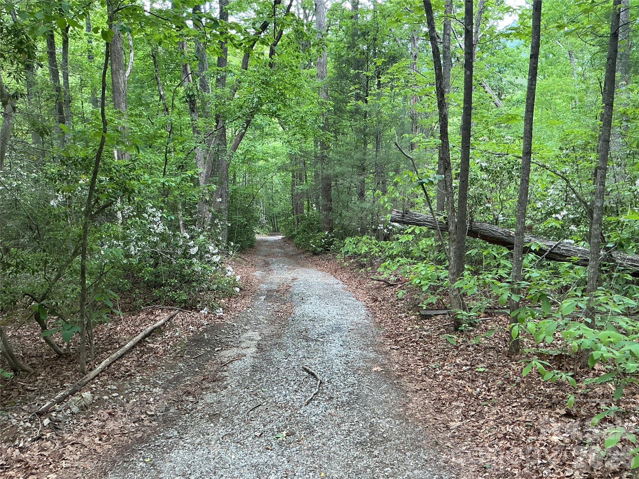 00 Green River Cove Road Saluda NC 28773