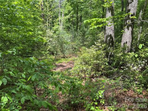00 Green River Cove Road Saluda NC 28773