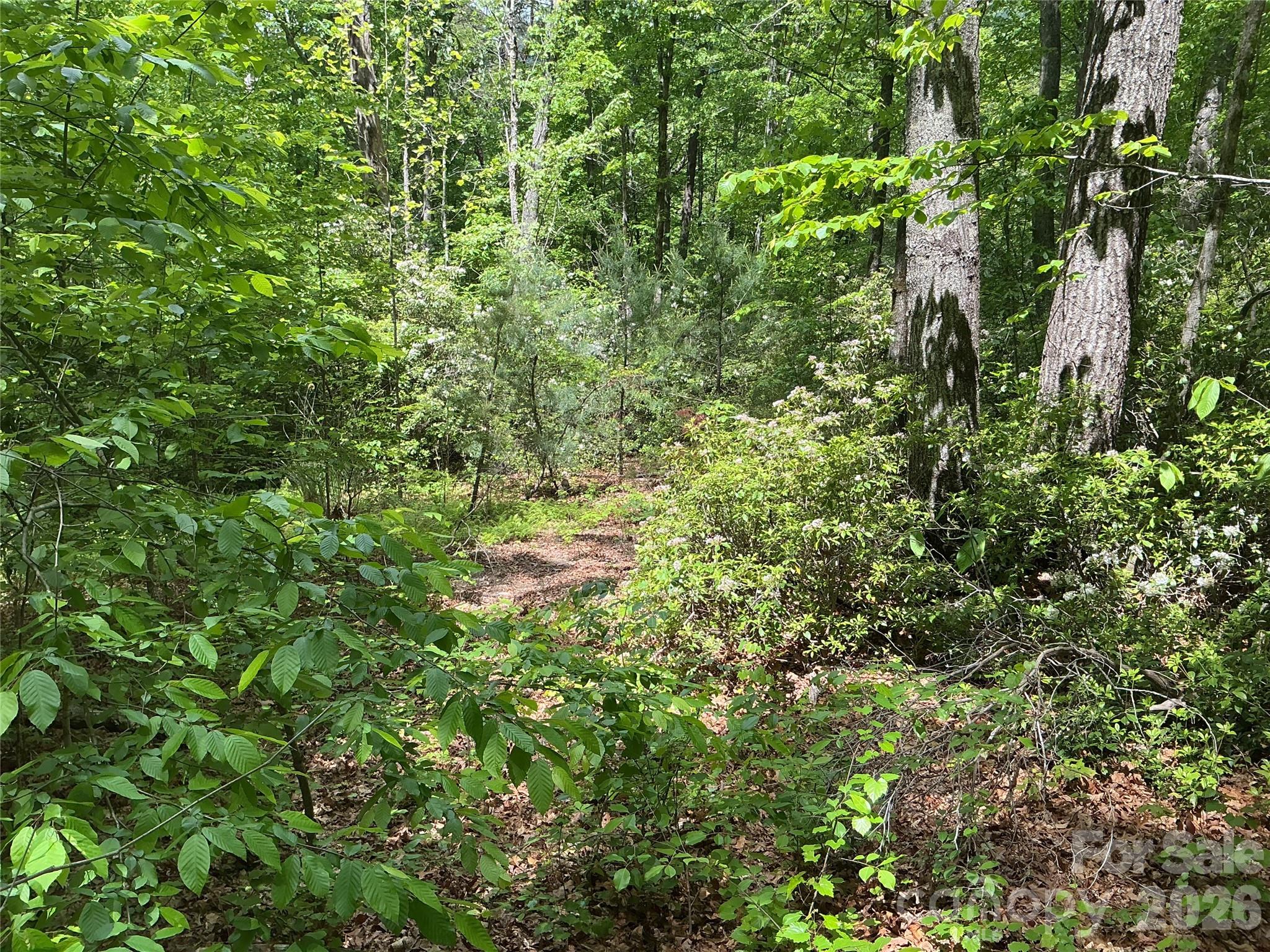 00 Green River Cove Road Saluda NC 28773