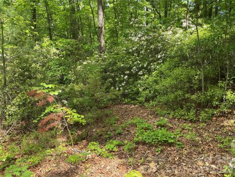 00 Green River Cove Road Saluda NC 28773