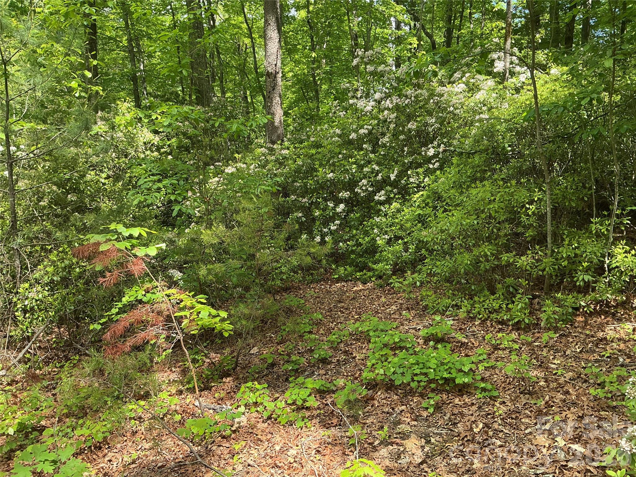 00 Green River Cove Road Saluda NC 28773
