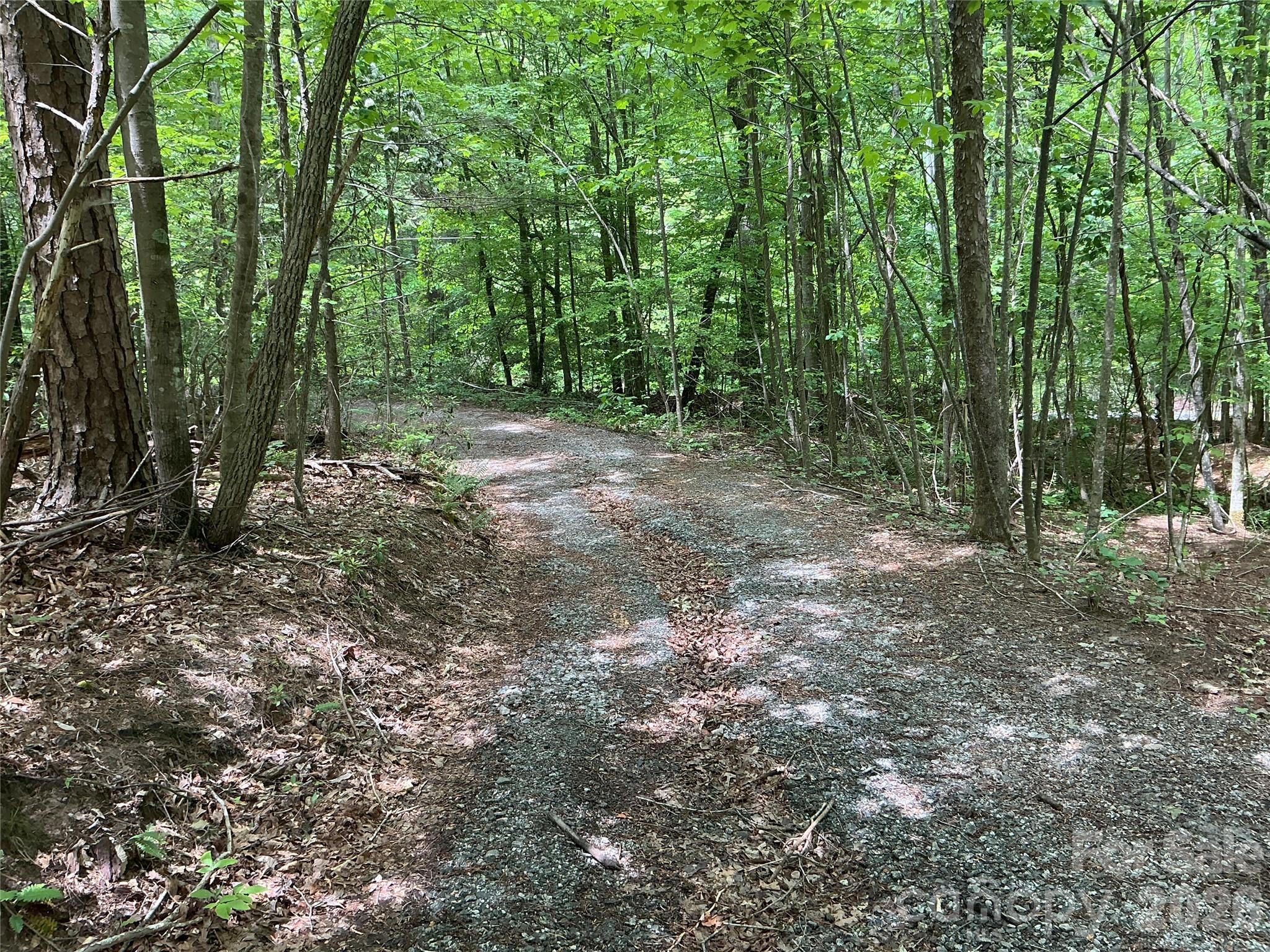 00 Green River Cove Road Saluda NC 28773