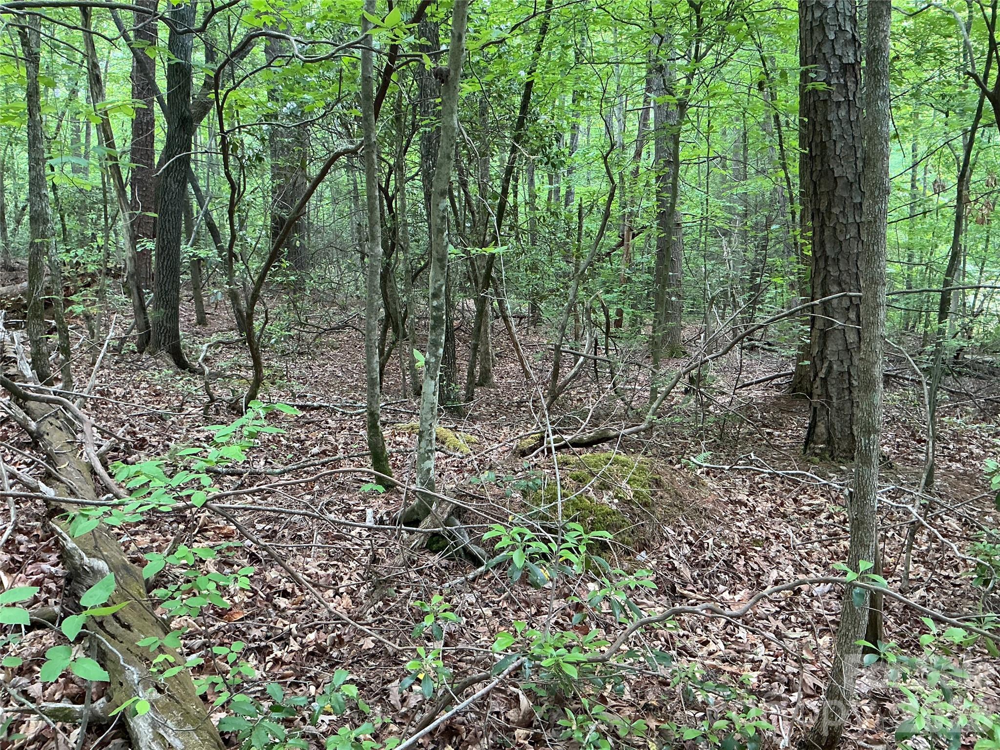 00 Green River Cove Road Saluda NC 28773