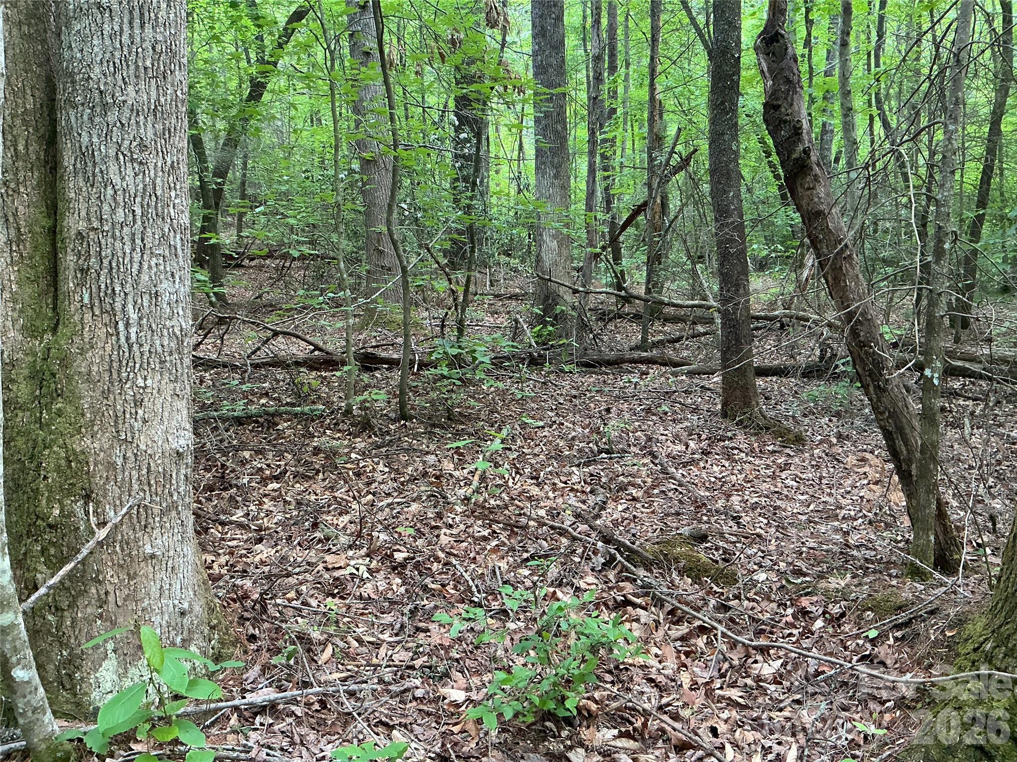 00 Green River Cove Road Saluda NC 28773