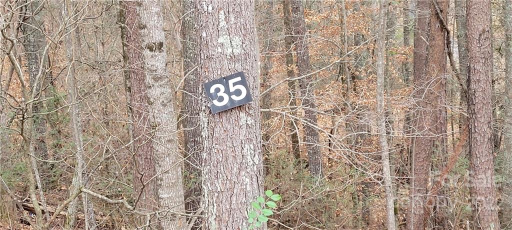 35 Settlers Trail Mars Hill NC 28754