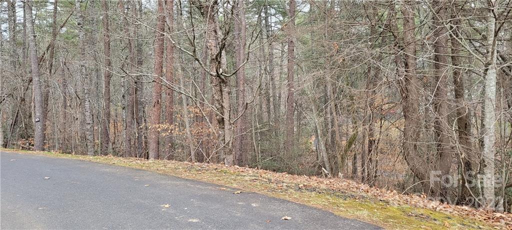 35 Settlers Trail Mars Hill NC 28754