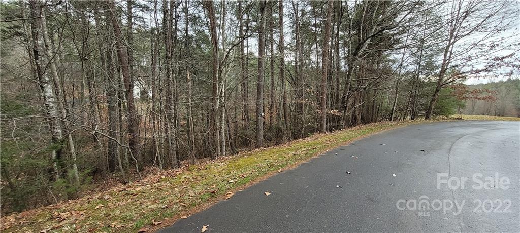 35 Settlers Trail Mars Hill NC 28754