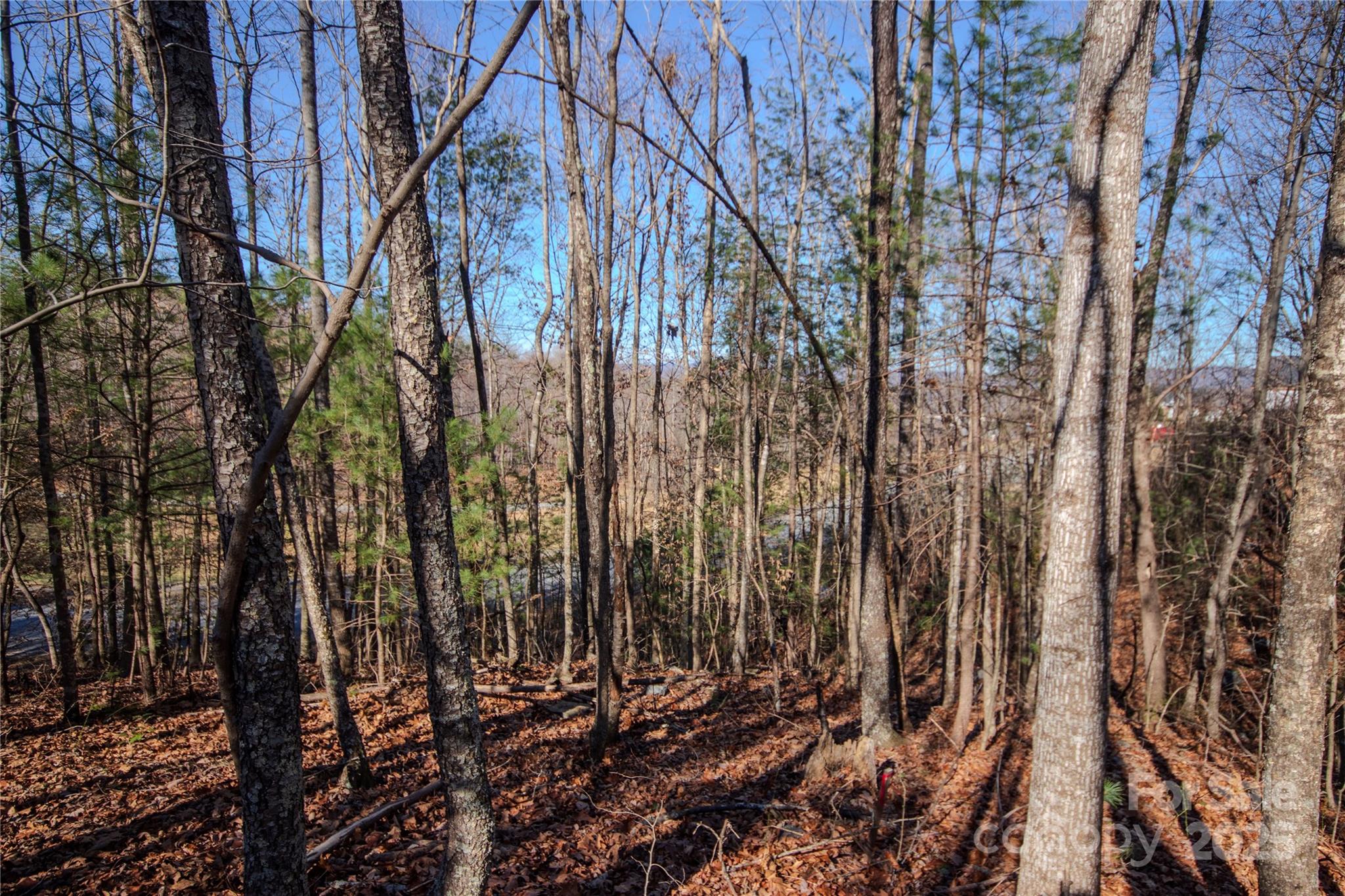 401 Huntington Woods Street SE Lenoir NC 28645