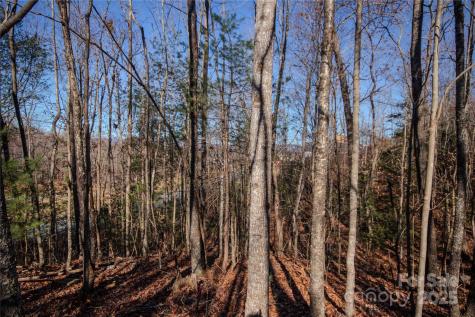 401 Huntington Woods Street SE Lenoir NC 28645