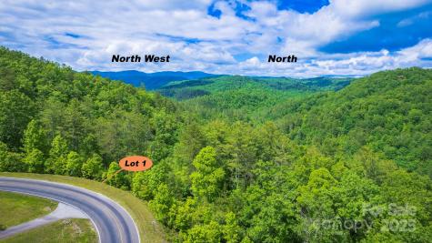 Lot 1 Reynolds Parkway Ferguson NC 28624
