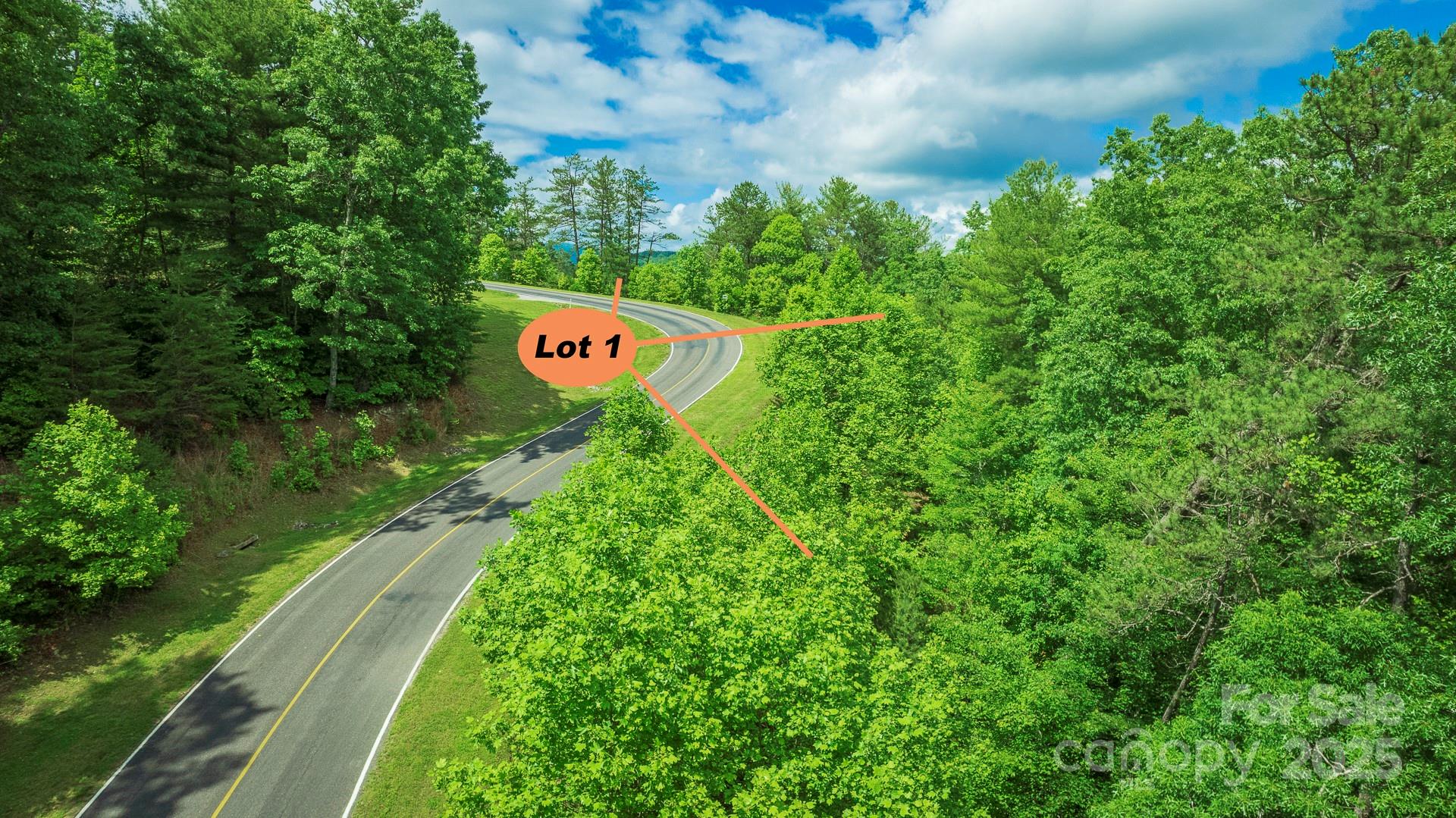Lot 1 Reynolds Parkway Ferguson NC 28624