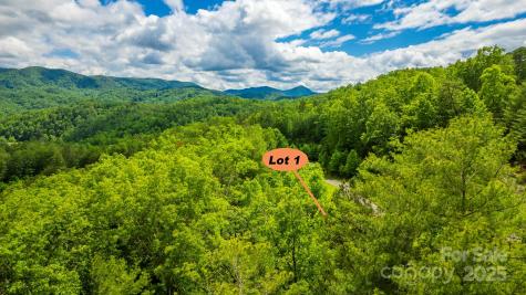 Lot 1 Reynolds Parkway Ferguson NC 28624