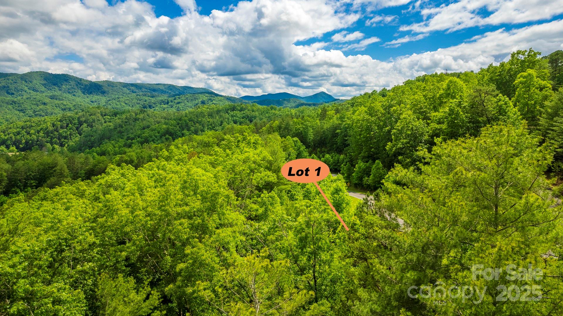 Lot 1 Reynolds Parkway Ferguson NC 28624