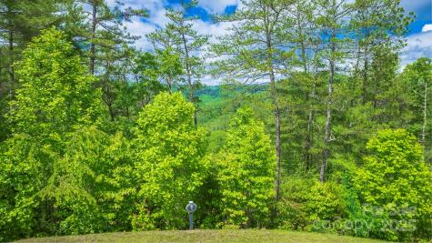 Lot 1 Reynolds Parkway Ferguson NC 28624