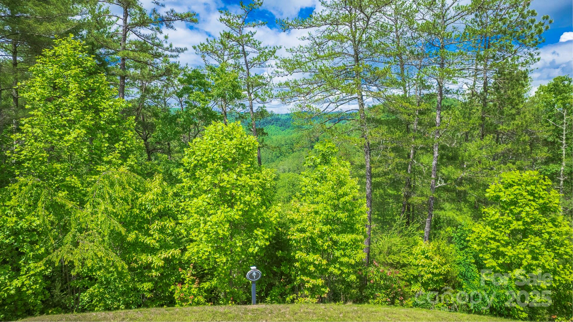 Lot 1 Reynolds Parkway Ferguson NC 28624