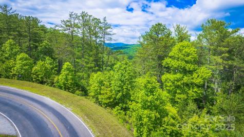 Lot 1 Reynolds Parkway Ferguson NC 28624