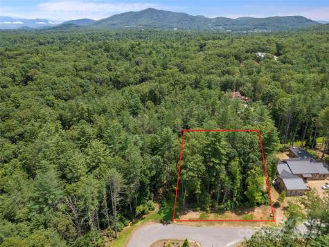 323 Flowering Vine Court Asheville NC 28803