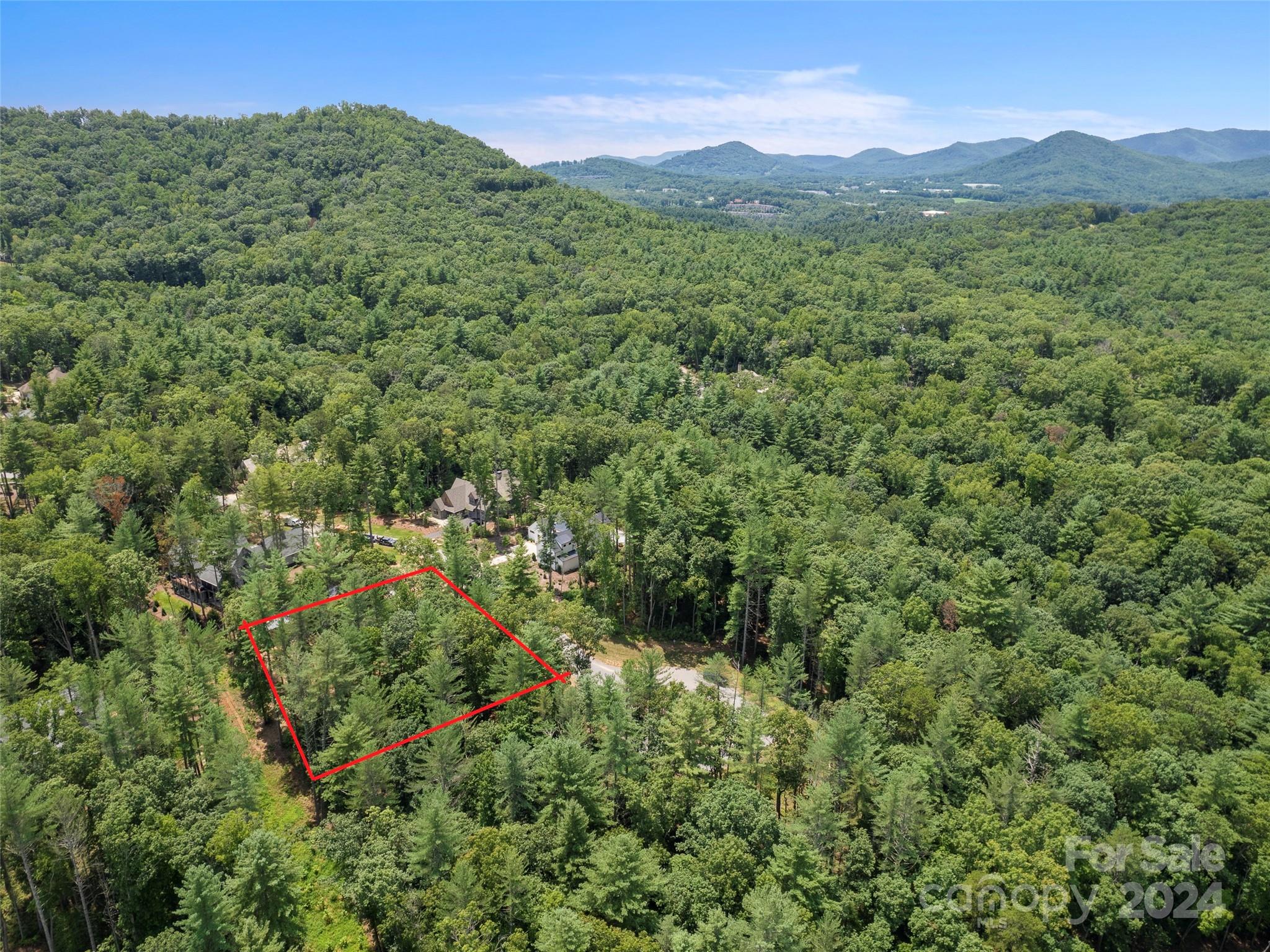 323 Flowering Vine Court Asheville NC 28803