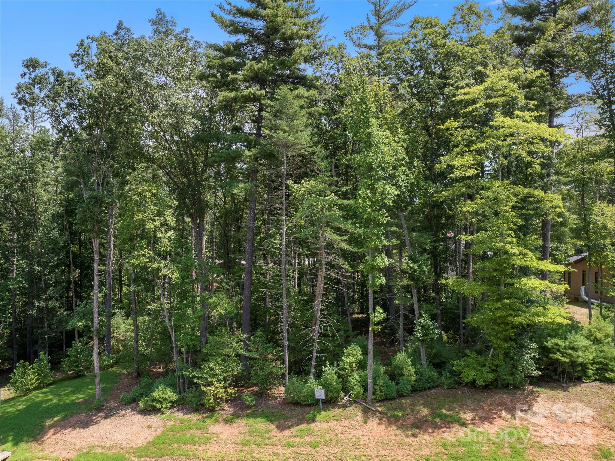 323 Flowering Vine Court Asheville NC 28803