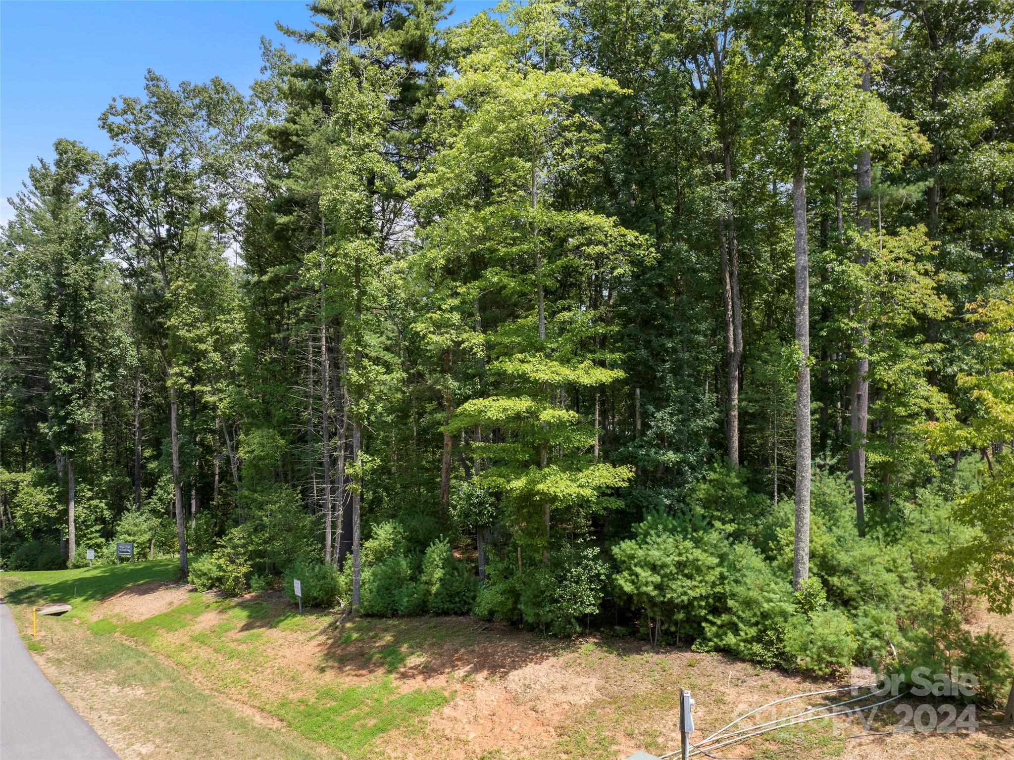 323 Flowering Vine Court Asheville NC 28803