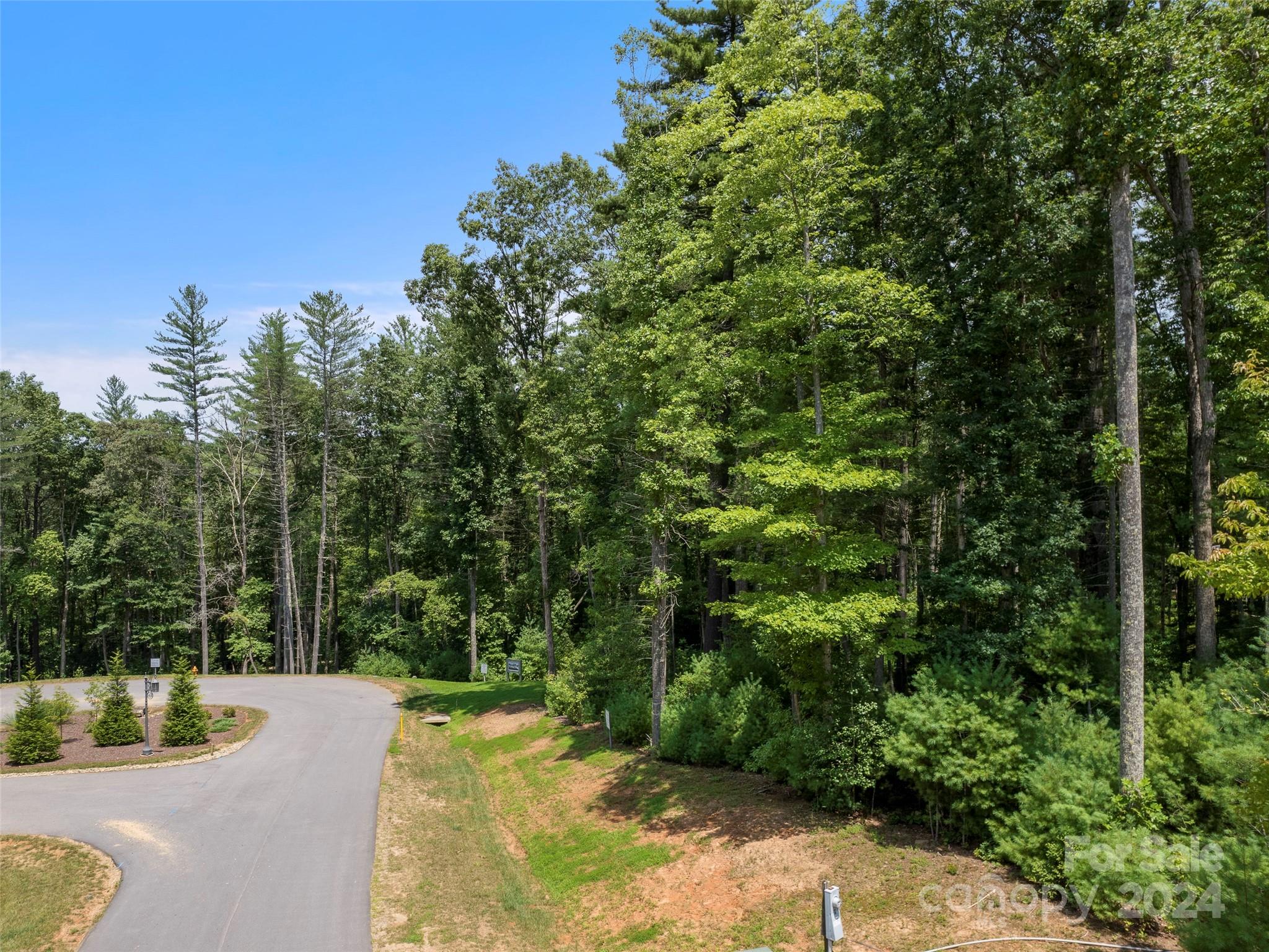 323 Flowering Vine Court Asheville NC 28803