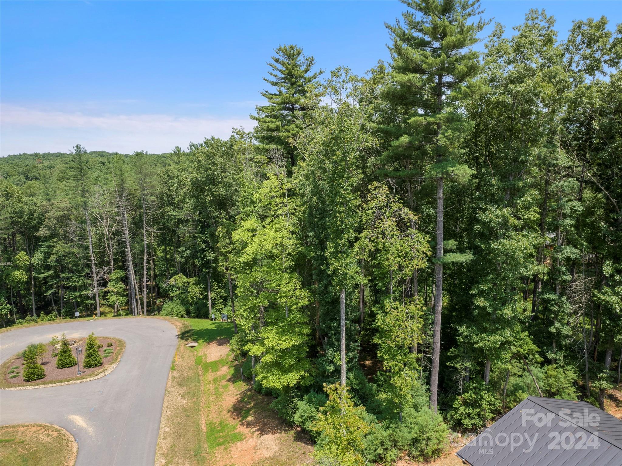 323 Flowering Vine Court Asheville NC 28803