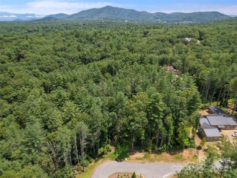 323 Flowering Vine Court Asheville NC 28803