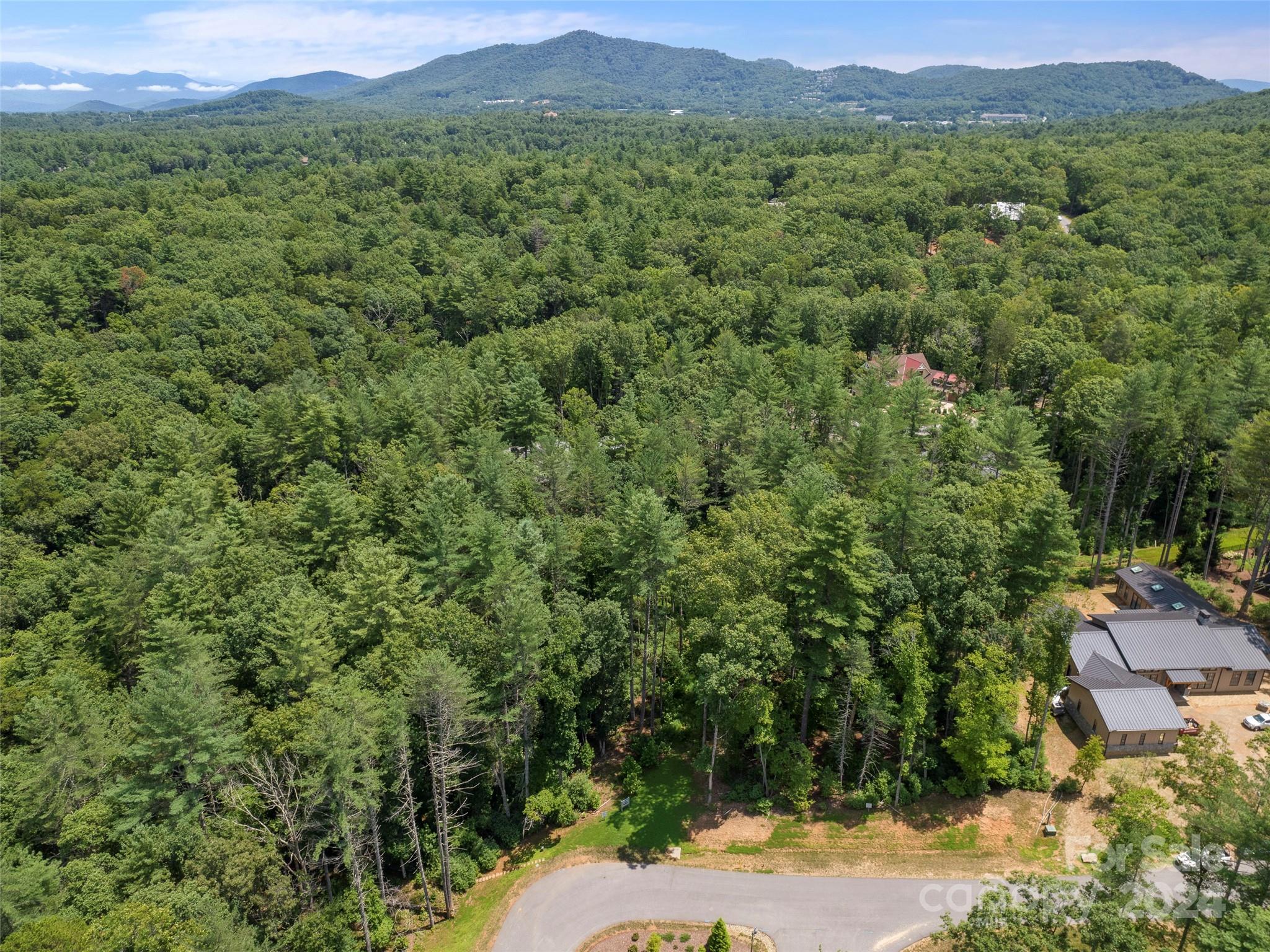 323 Flowering Vine Court Asheville NC 28803