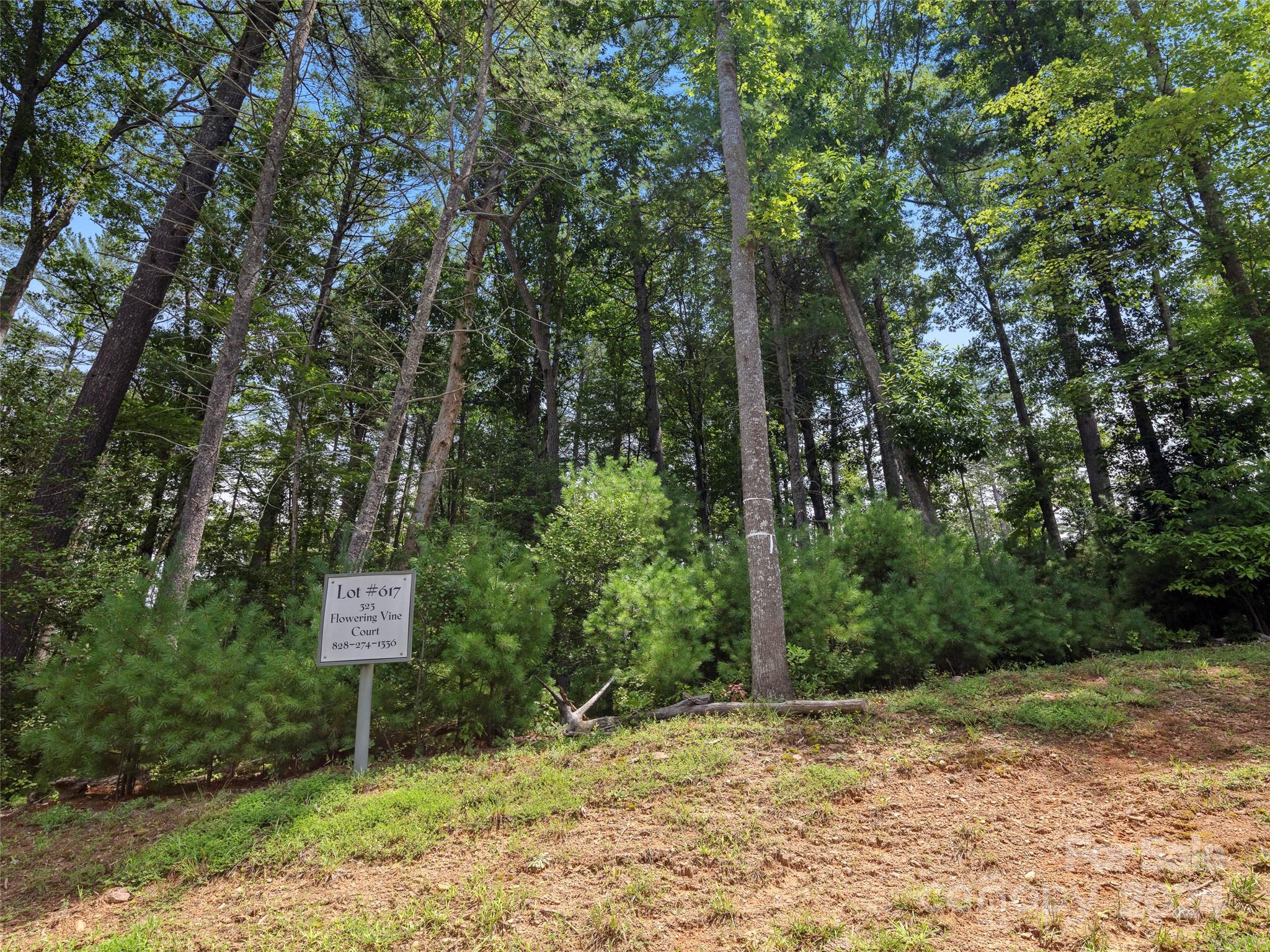 323 Flowering Vine Court Asheville NC 28803