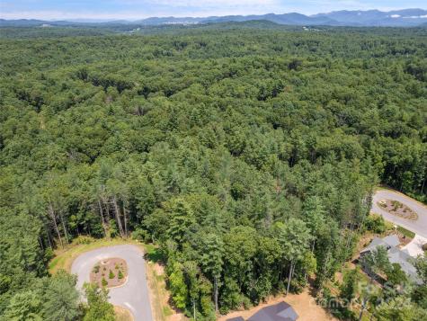 323 Flowering Vine Court Asheville NC 28803