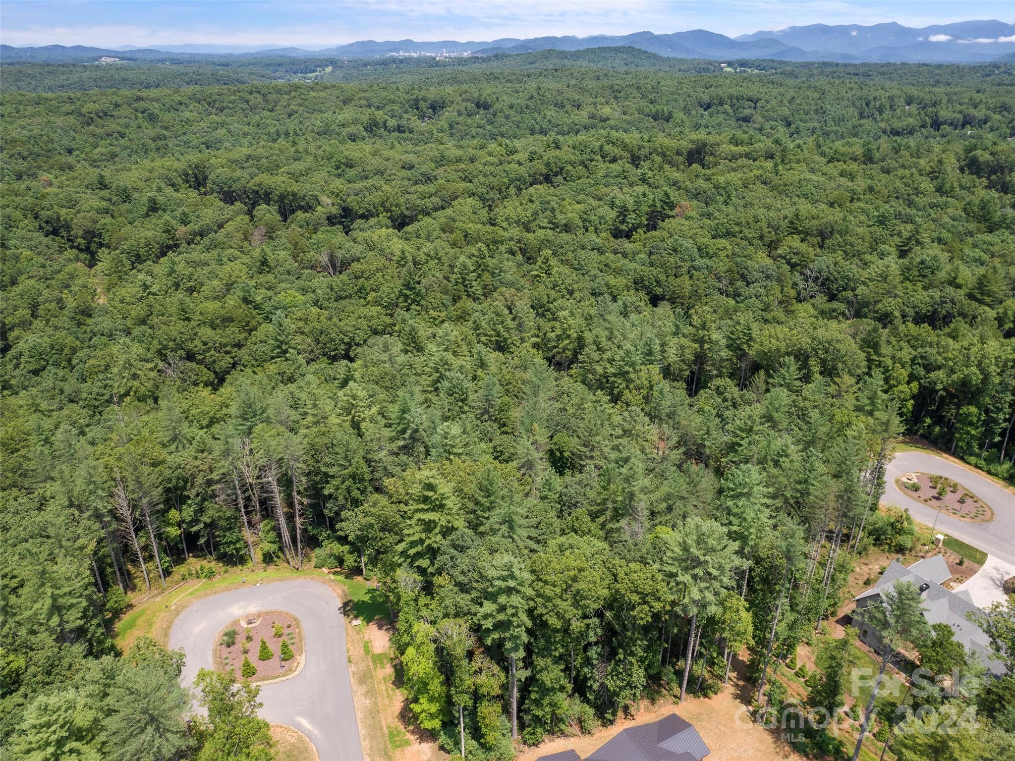 323 Flowering Vine Court Asheville NC 28803